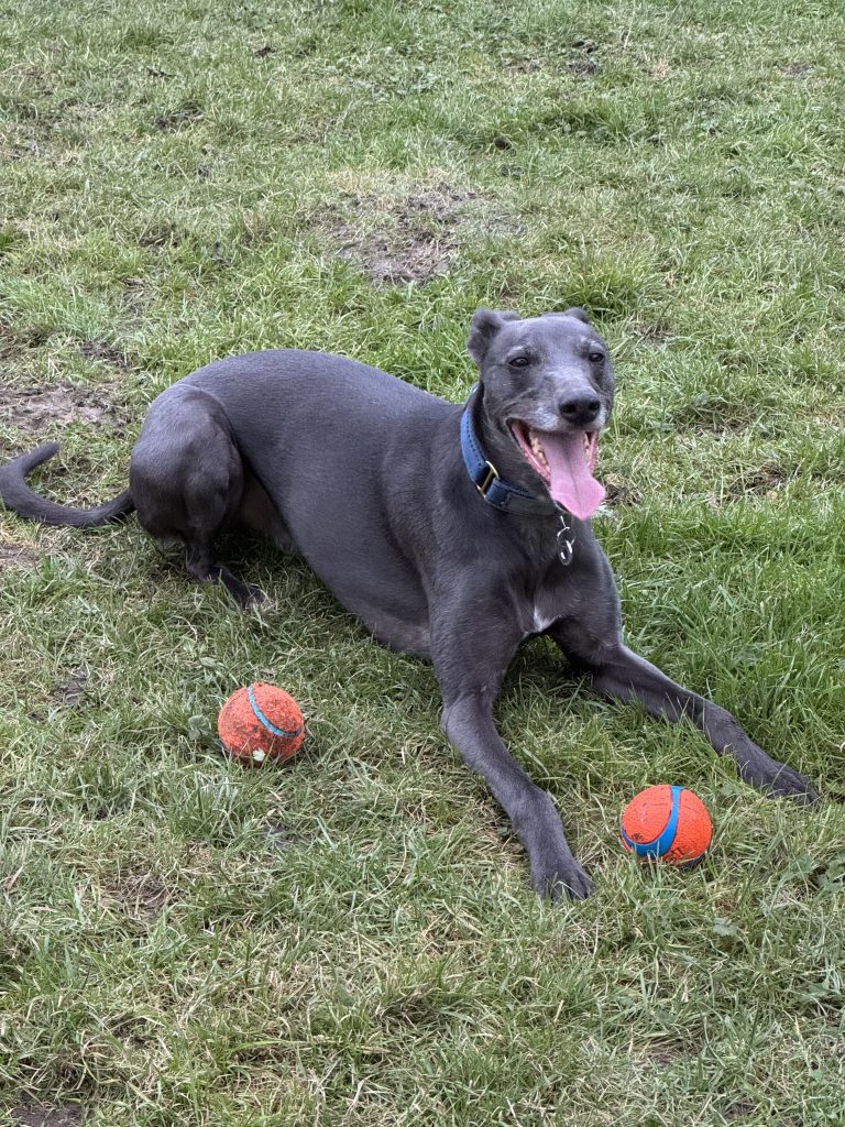 barker driving school